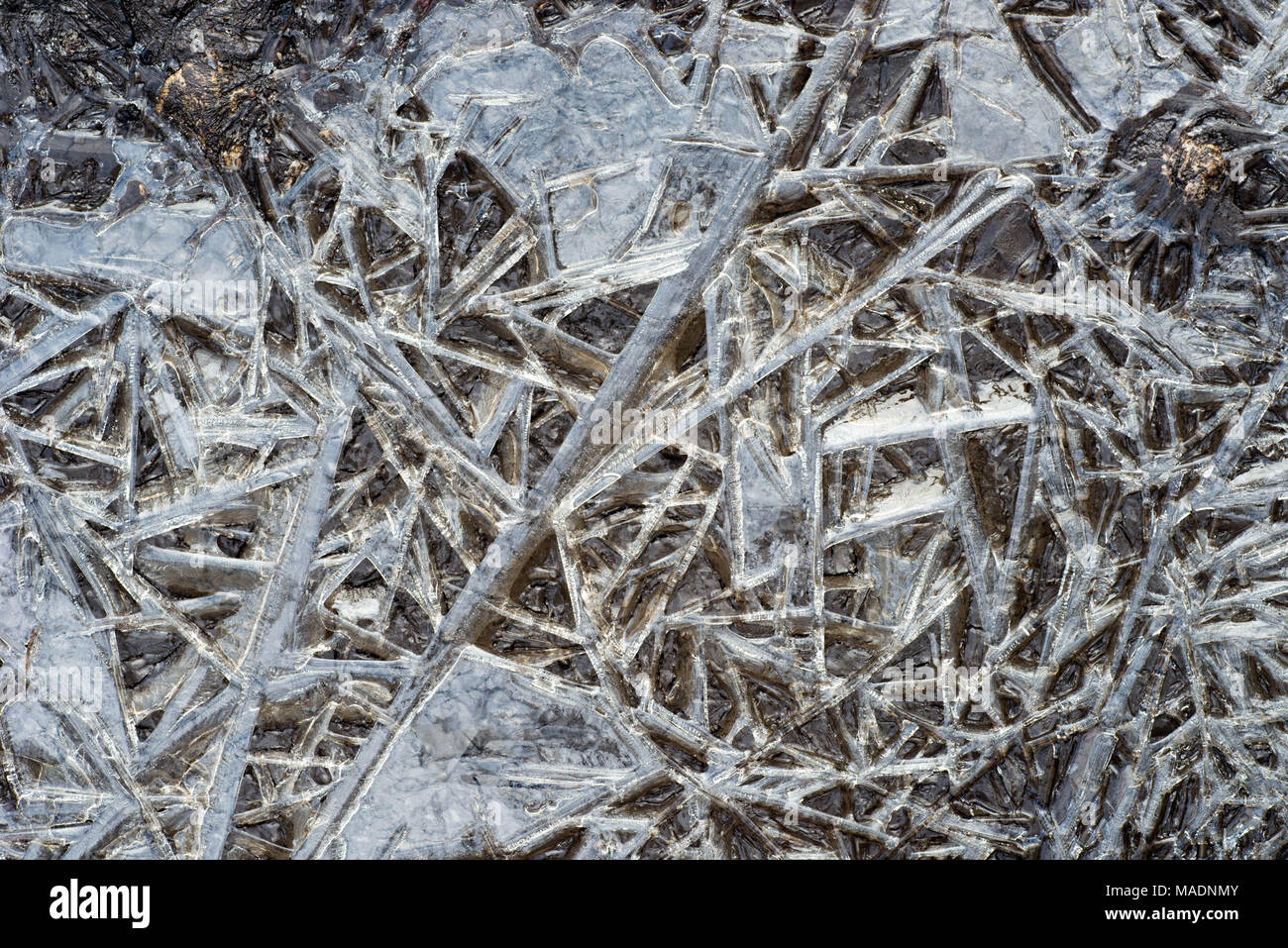 Ice Puddle Texture ice pattern background texture on puddle Stock Photo - Alamy