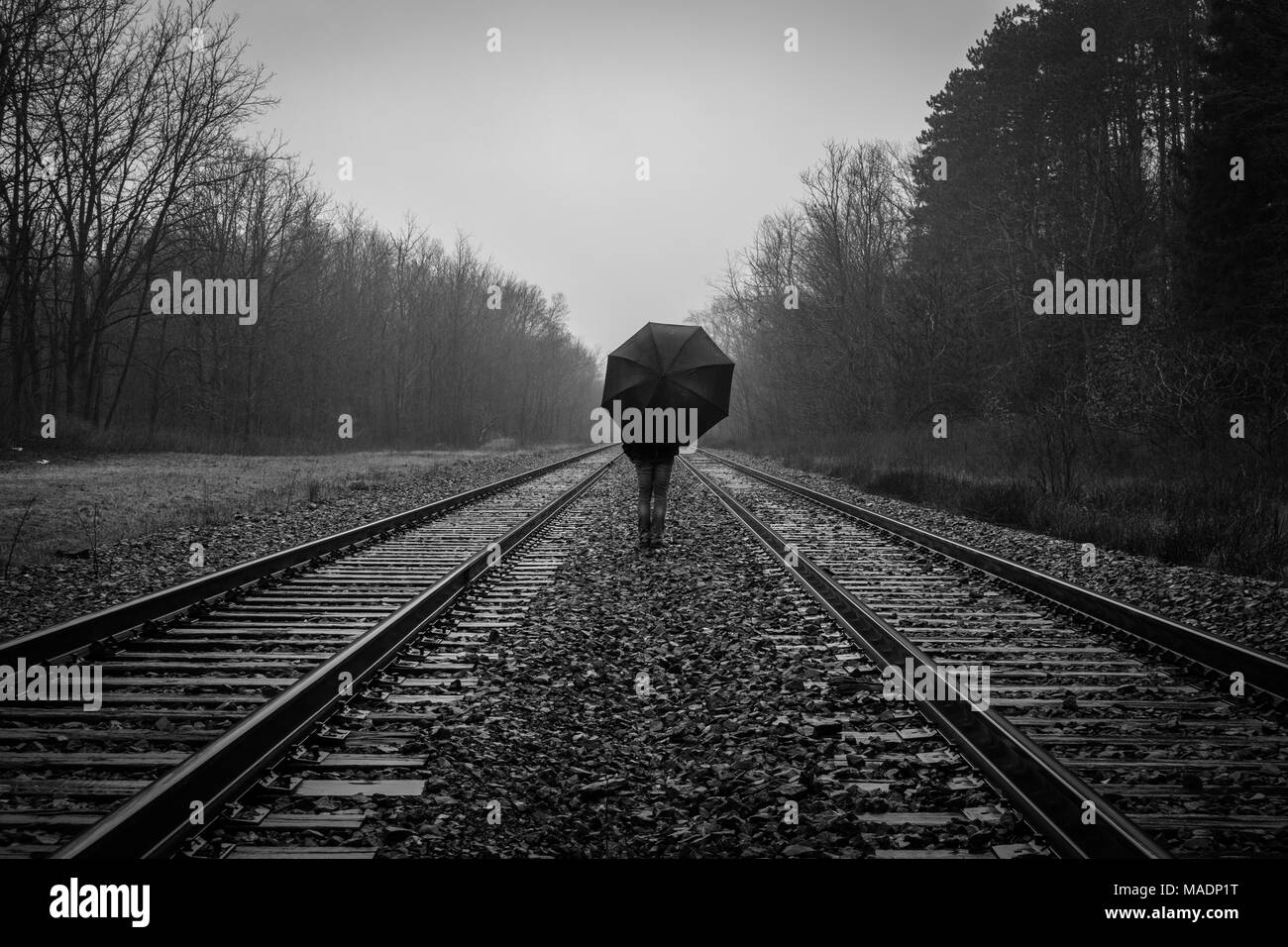 A Custom Barn Door Stock Photo Alamy
