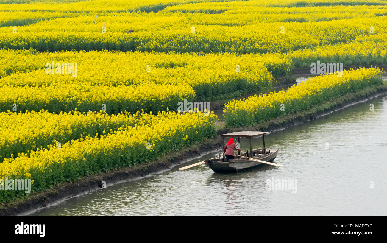 Yellow river china water hi-res stock photography and images - Alamy