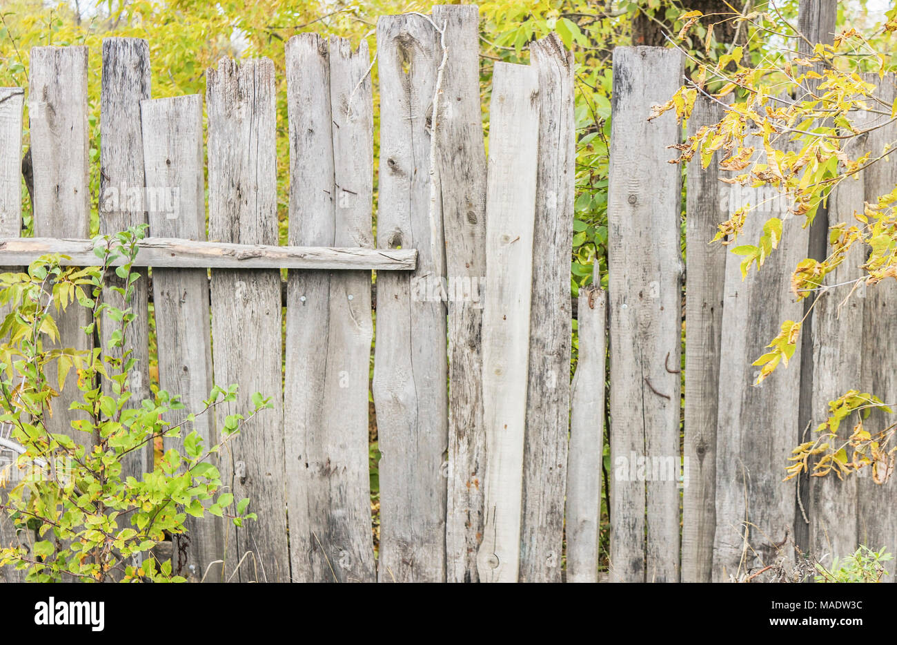 Old wood textured panels hi-res stock photography and images - Alamy