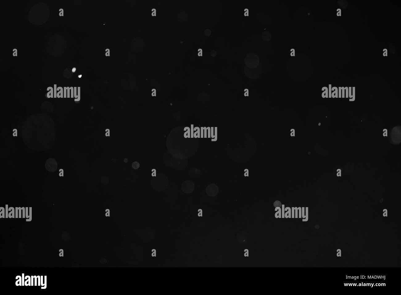 abstract dust particles over black background for overlay, effect Stock ...