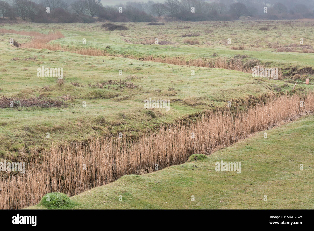 Essex marshes hires stock photography and images Alamy
