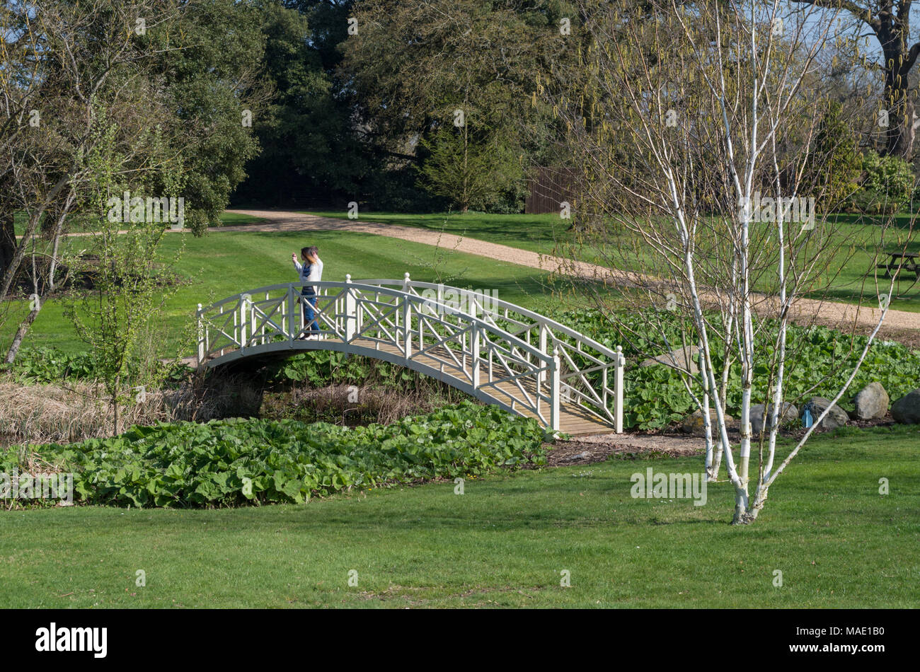 Young couple standing on a white bridge designed in the Chinese style which crosses the Bog Garden at Woburn Abbey Gardens, UK Stock Photo