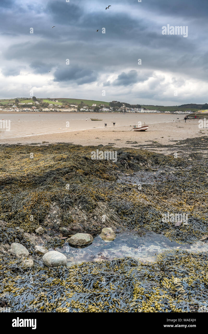 Rockpool With Seaweed At Low Tide Hi res Stock Photography And Images 