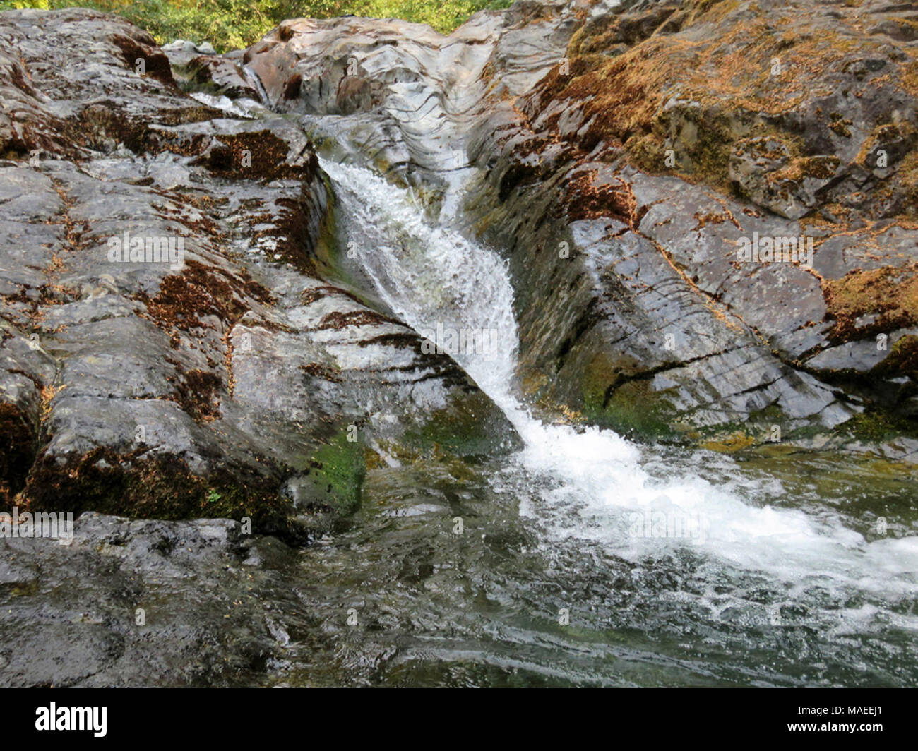 Natural Rock Water Slide at Opal Creek Wilderness in OR Stock Photo - Alamy