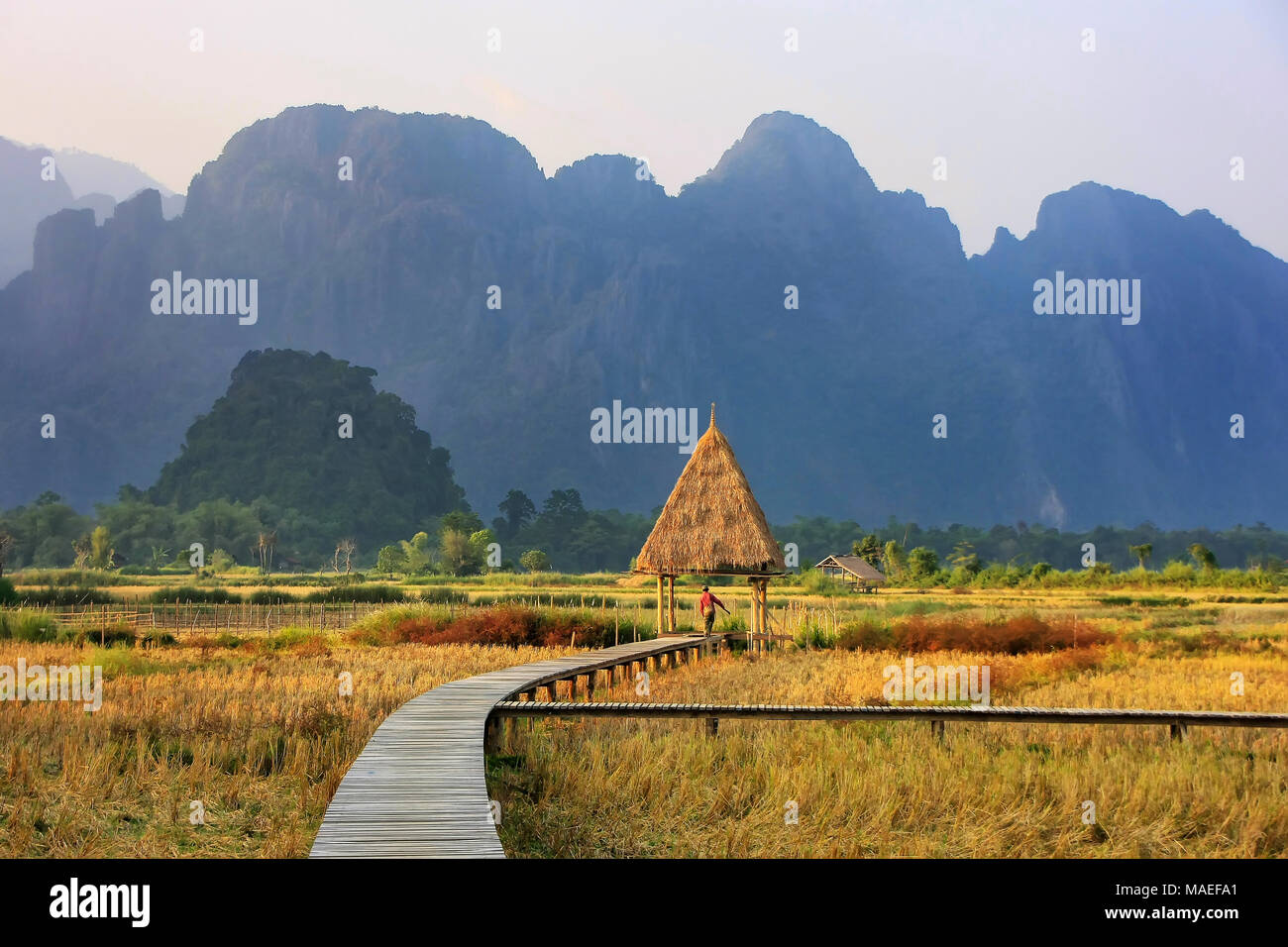 Harvested rice field surrounded by rock formations in Vang Vieng, Laos. Vang Vieng is a popular destination for adventure tourism in a limestone karst Stock Photo