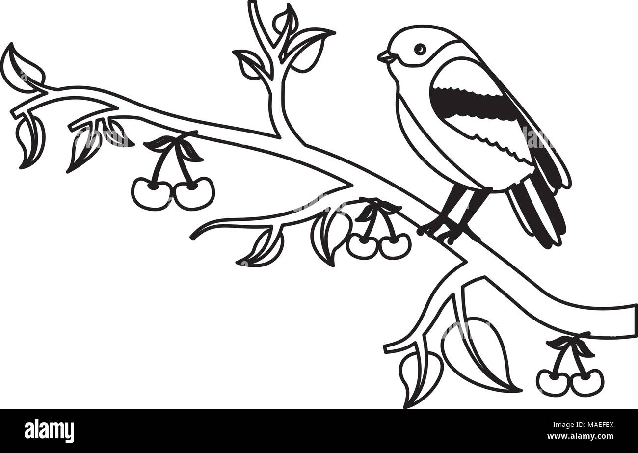 bird on tree cherry branches leaves nature vector illustration Stock ...