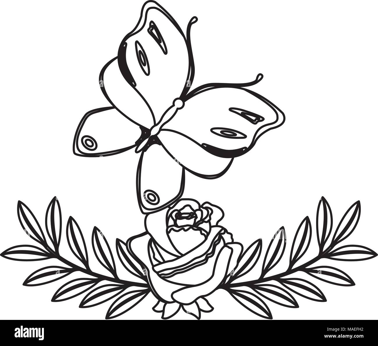 decorative flower rose and butterfly natural vector illustration Stock ...