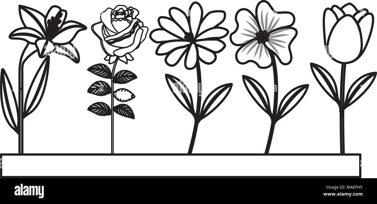 set of cute flowers decoration natural vector illustration Stock Vector ...