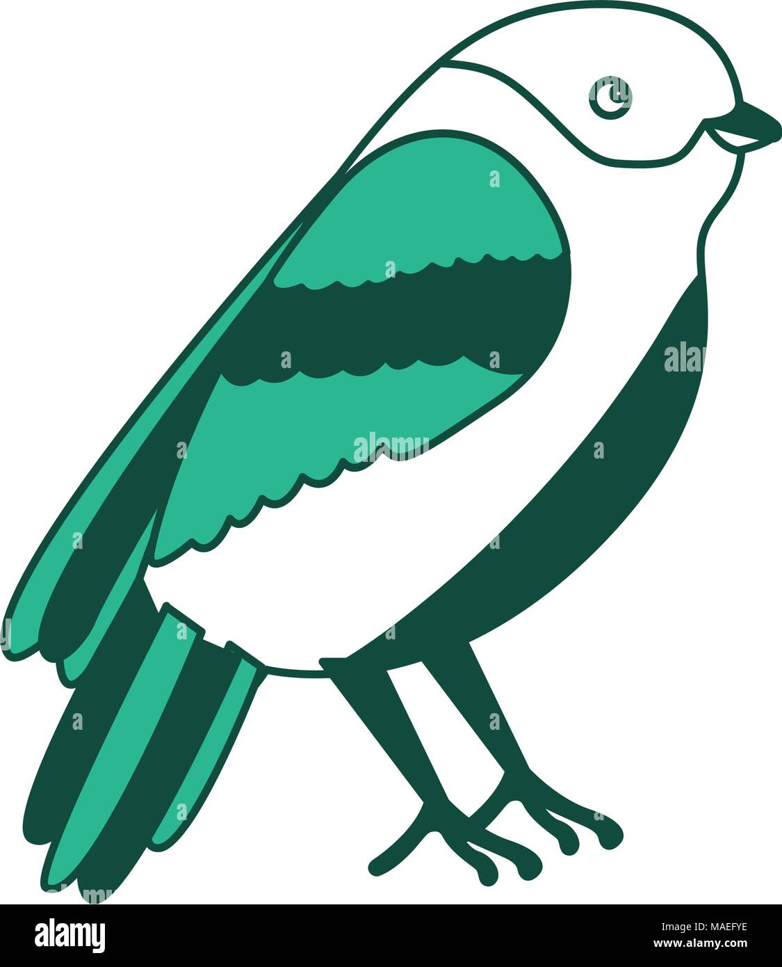 bird animal feathers wildlife vintage style vector illustration green