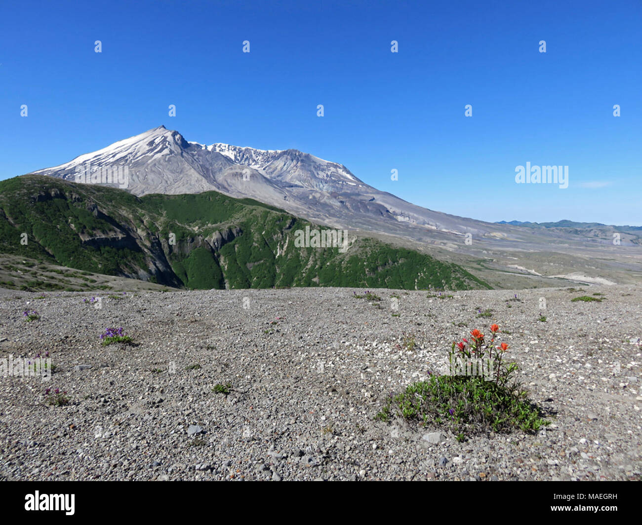 Windy ridge helens hi-res stock photography and images - Alamy