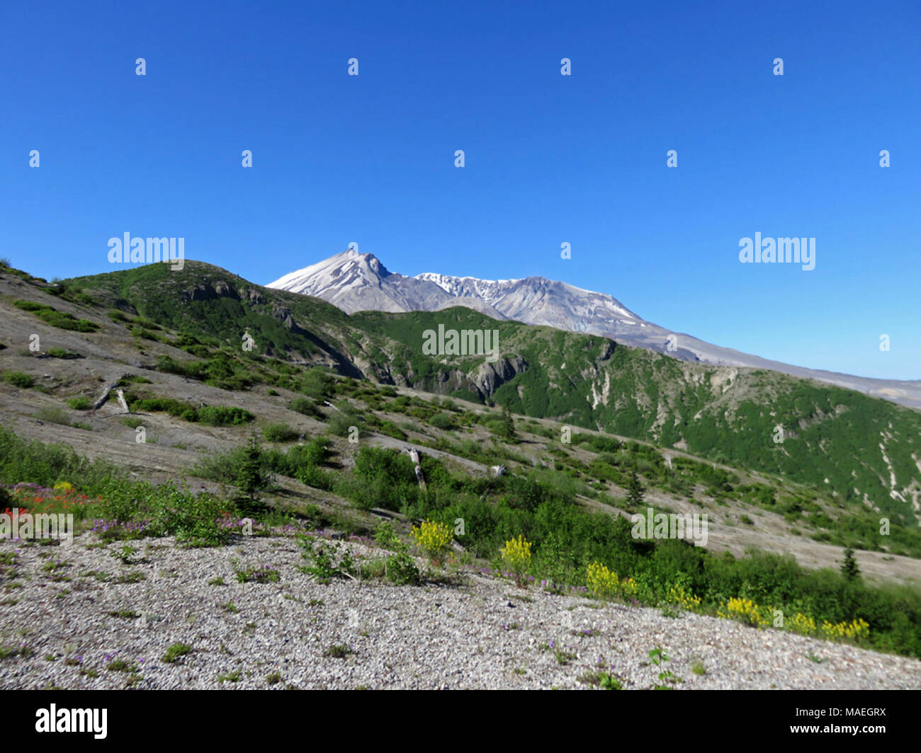Windy ridge helens hi-res stock photography and images - Alamy
