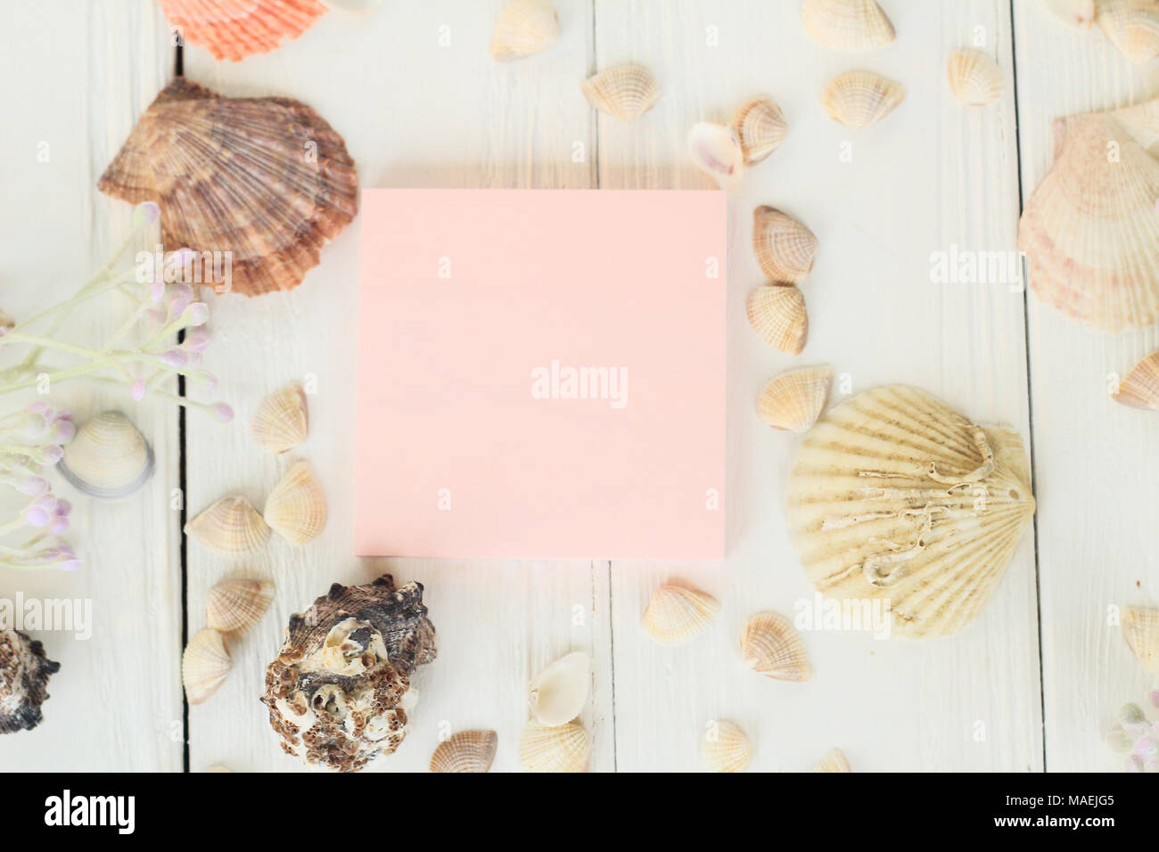 pink sheet to record and seashells on a wooden background.Travel background Stock Photo