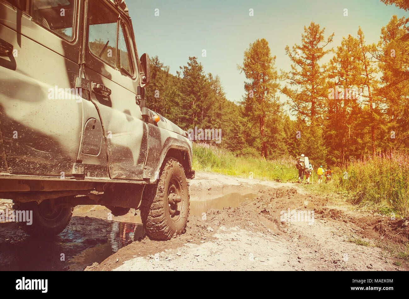 Old Russian military vehicle on exercise in the wild forest nature. Stock Photo