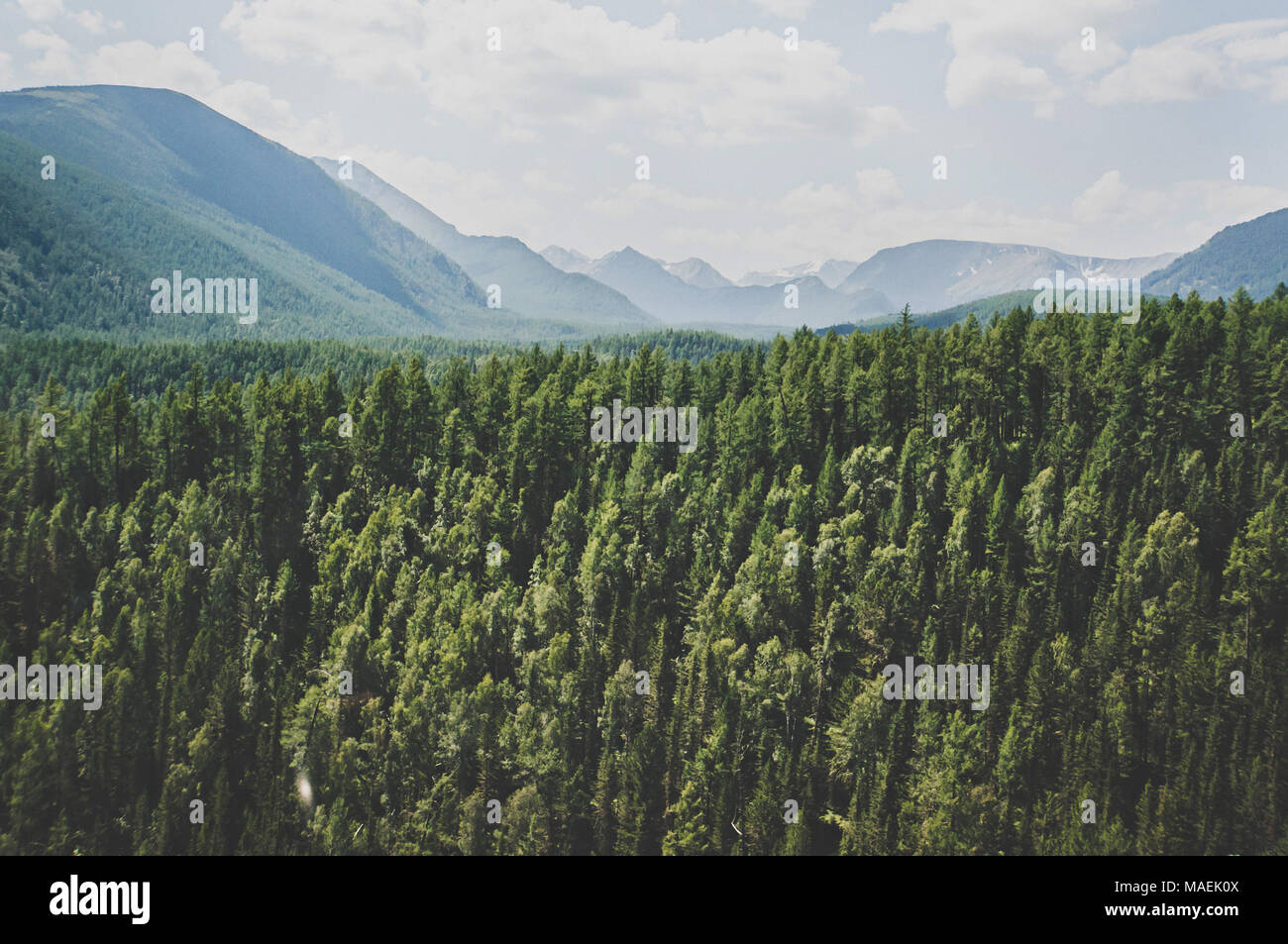 Landscape with forest mountains. Stock Photo