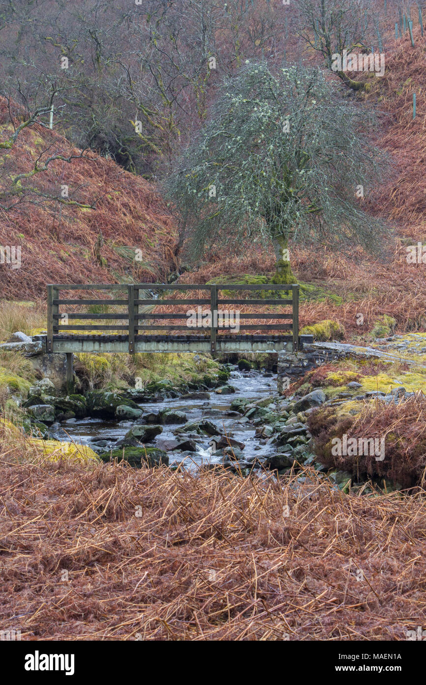 Footbridge over a moorland stream in  the North Pennines Stock Photo