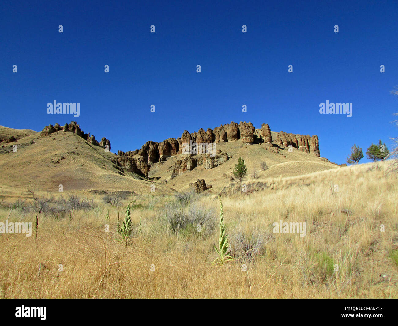 Clarno Unit Unit Nm High Resolution Stock Photography and Images - Alamy
