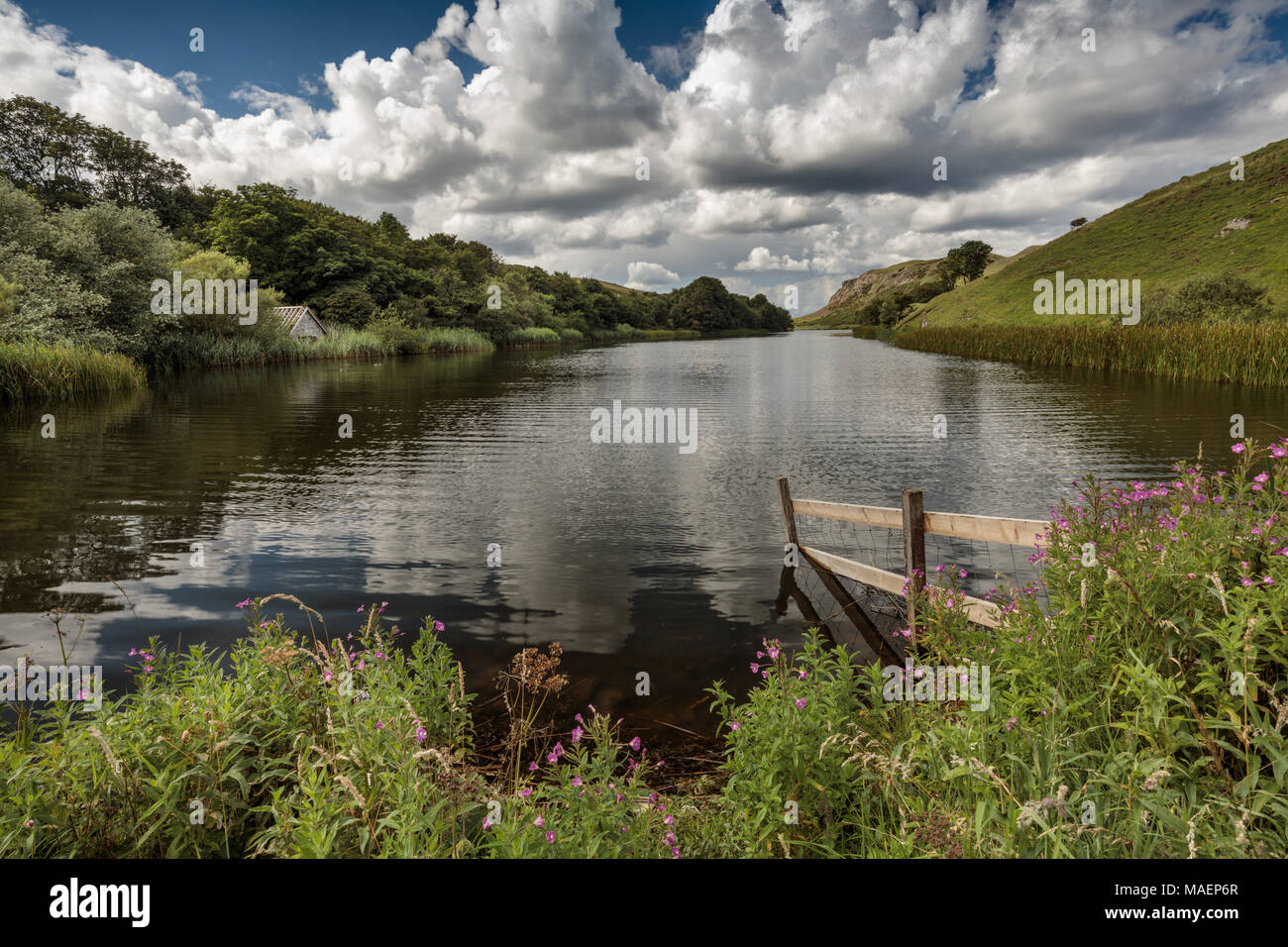 Mire Loch, East Lothian, is a man made freshwater loch situated on St Abb's Head in the Scottish Borders, just over a kilometre NW of St Abbs. Stock Photo