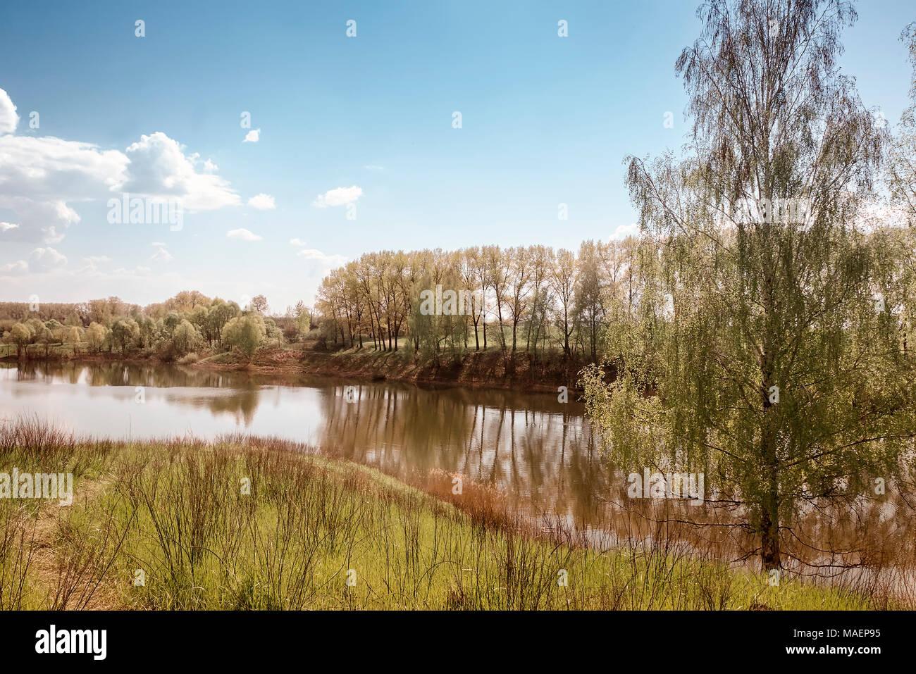 Clear reflection trees in hi-res stock photography and images - Alamy