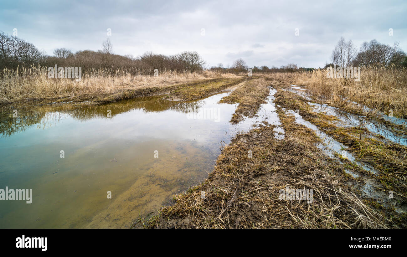 Spring thaw in deserted military area with the muddy path and a blue sky. Off-road track with ruts of tire and big puddle in winter landscape. Stock Photo
