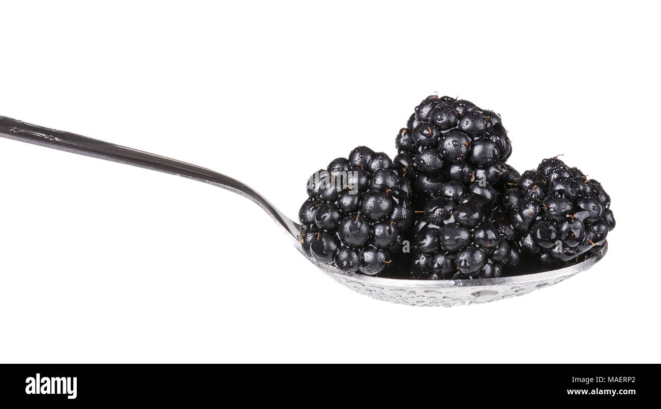 Blackberry pile on a spoon. Close-up of freshly washed forest berries full of vitamins and antioxidants on the glossy stainless steel tablespoon. Stock Photo