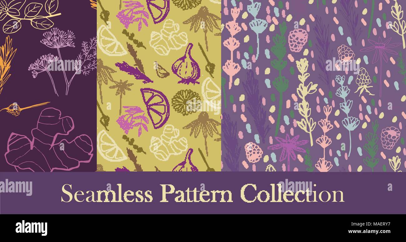 Herbs and medicinal plants seamless patterns Stock Vector Image & Art ...