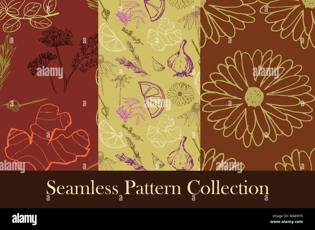 Herbs and medicinal plants seamless patterns Stock Vector Image & Art ...