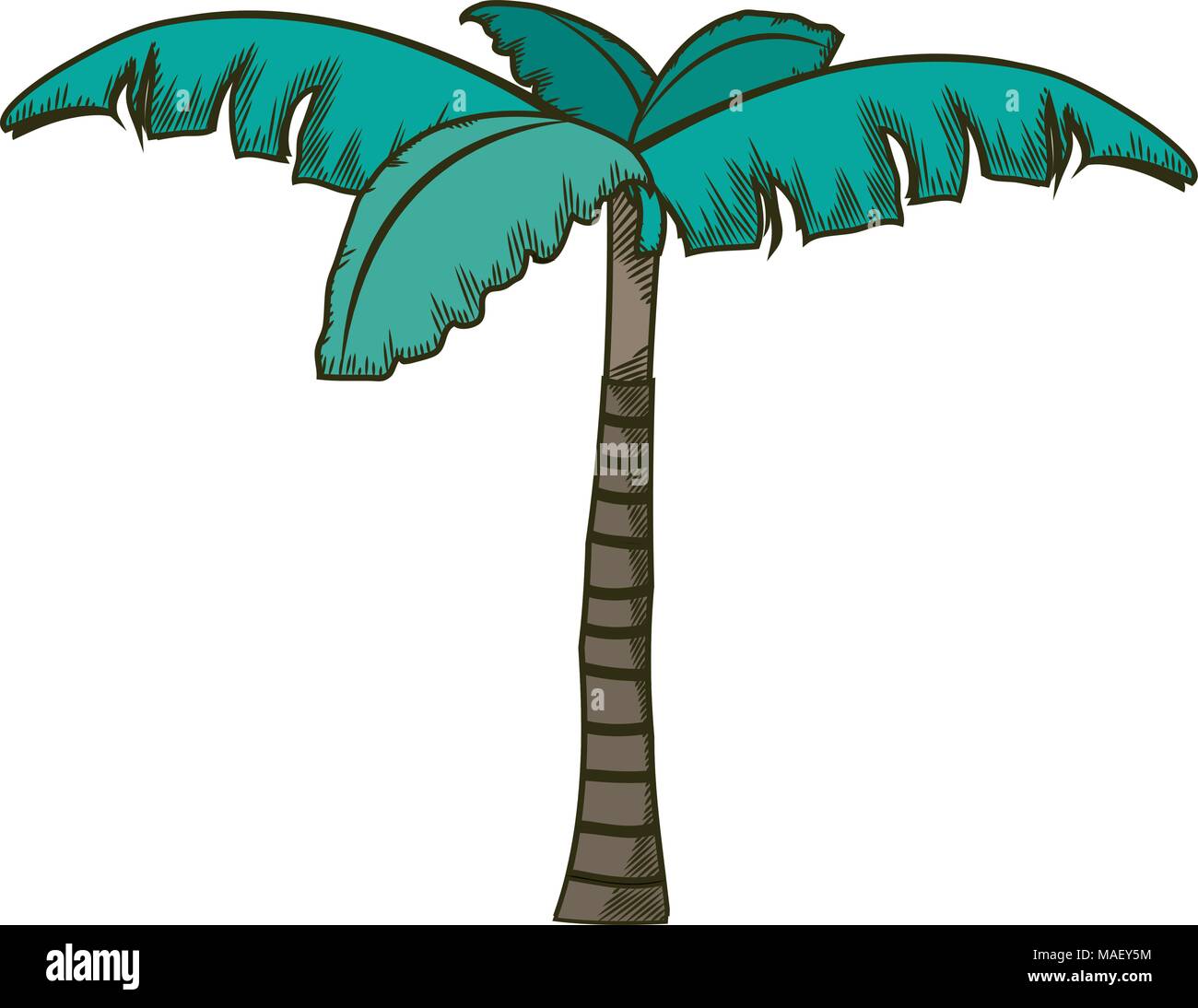 tropical palm tree with natural design vector illustration Stock Vector