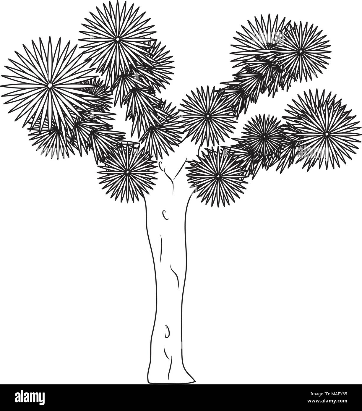 line yucca brevifolia nature desert tree vector illustration Stock Vector