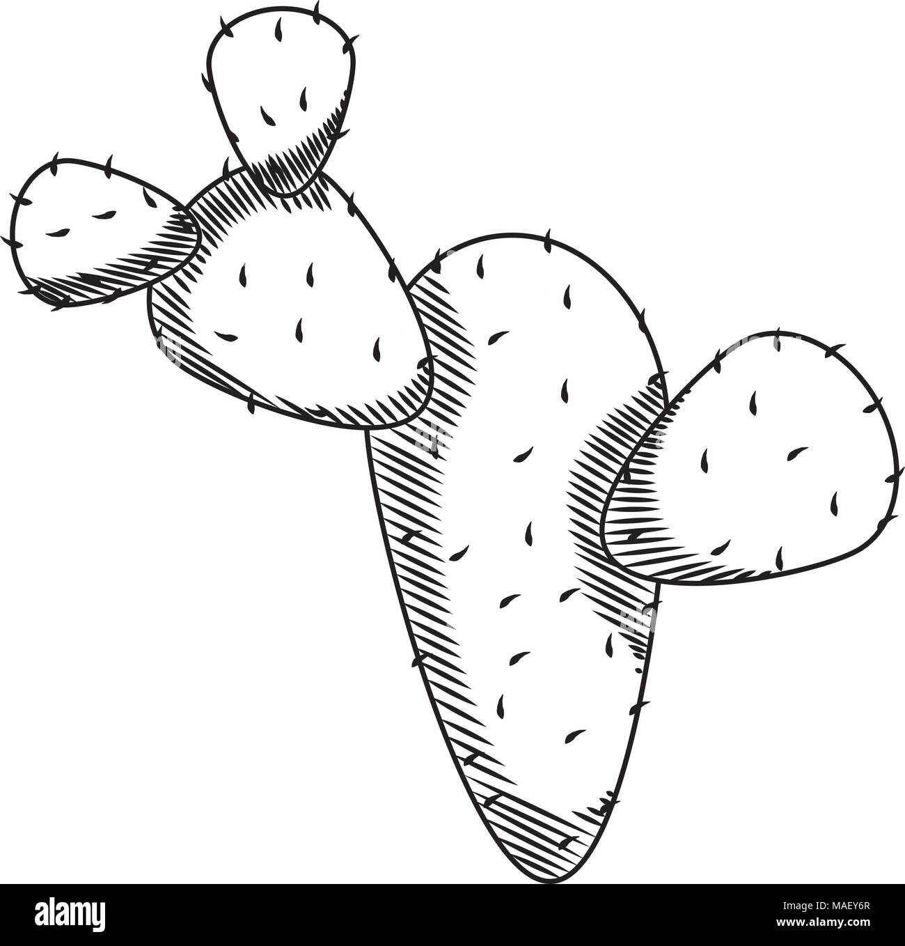 line ecology cactus plant nature desert vector illustration Stock ...
