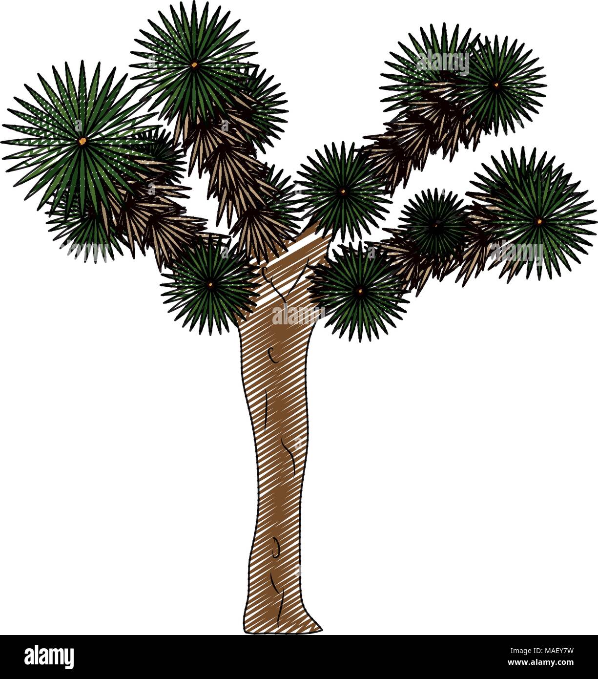 doodle yucca brevifolia nature desert tree vector illustration Stock Vector