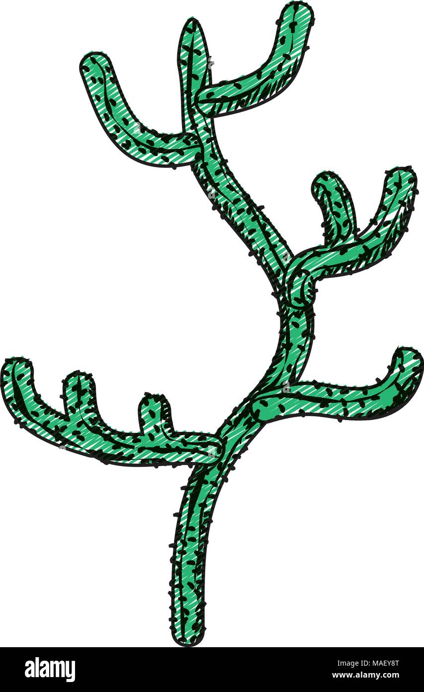doodle ecology and nature desert cactus plant vector illustration Stock ...
