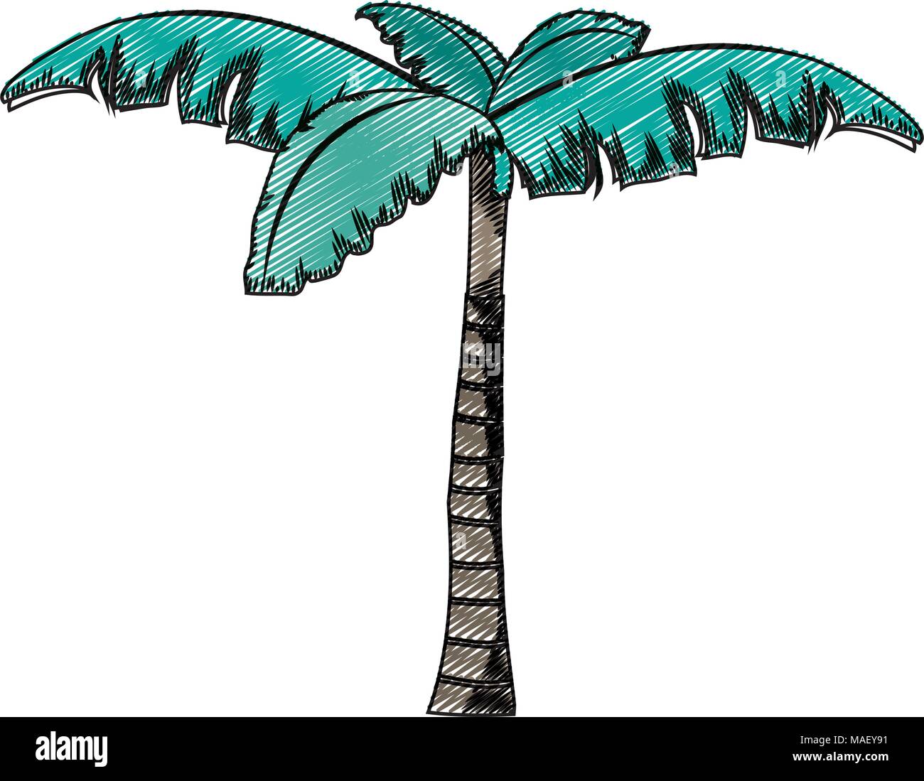 doodle tropical palm tree with natural design vector illustration Stock Vector