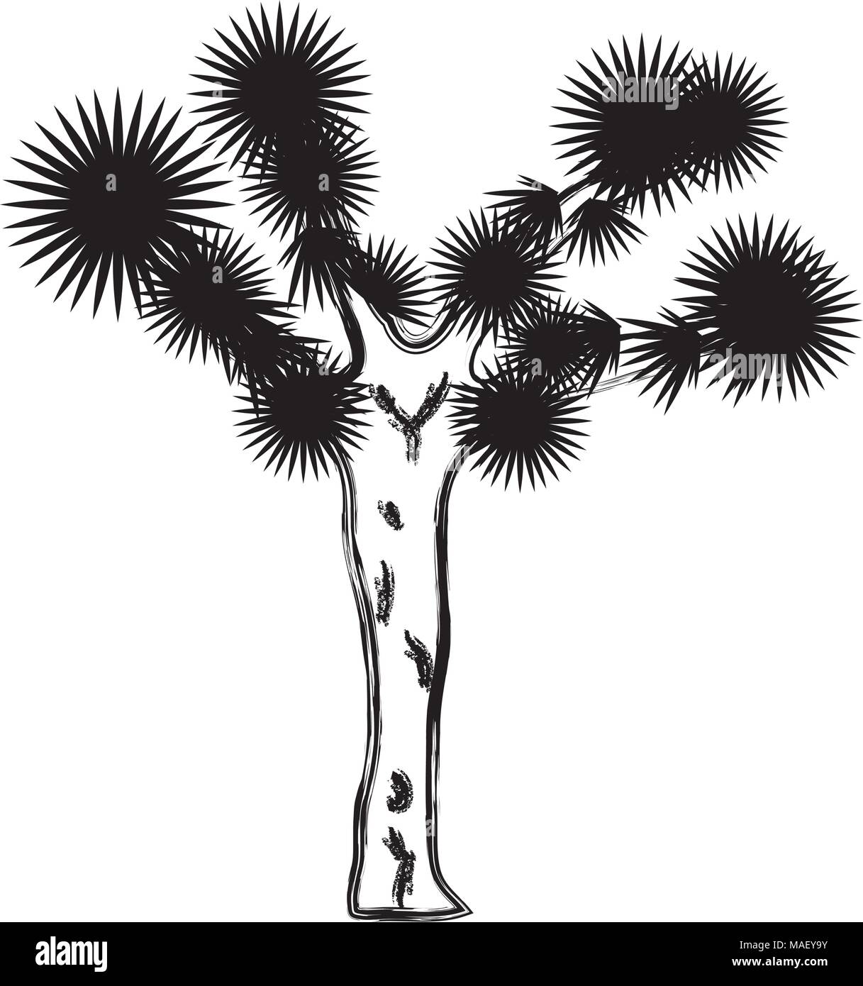 grunge yucca brevifolia nature desert tree vector illustration Stock Vector