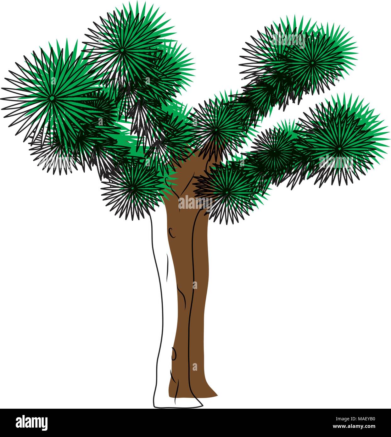 moved color yucca brevifolia nature desert tree vector illustration Stock Vector