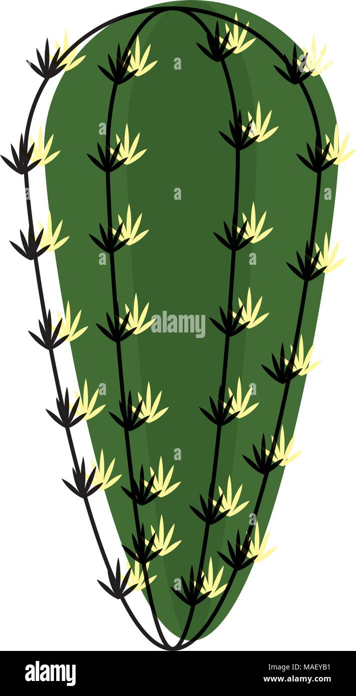 moved color desert cactus plant leaf design vector illustration Stock ...
