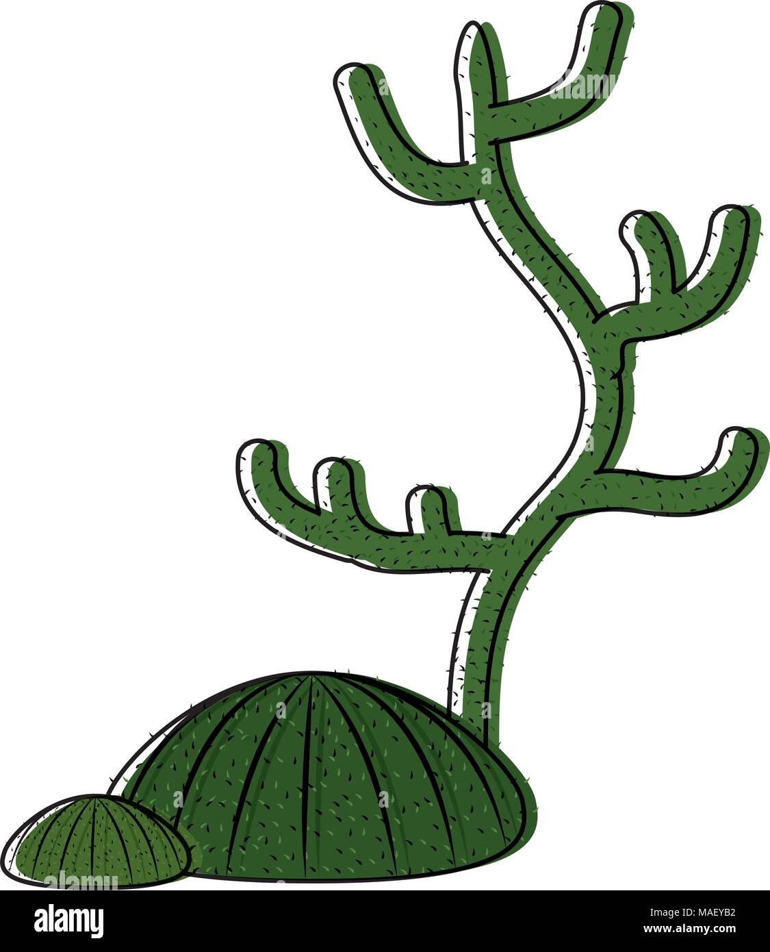 moved color nature cactus desert plants icon vector illustration Stock ...