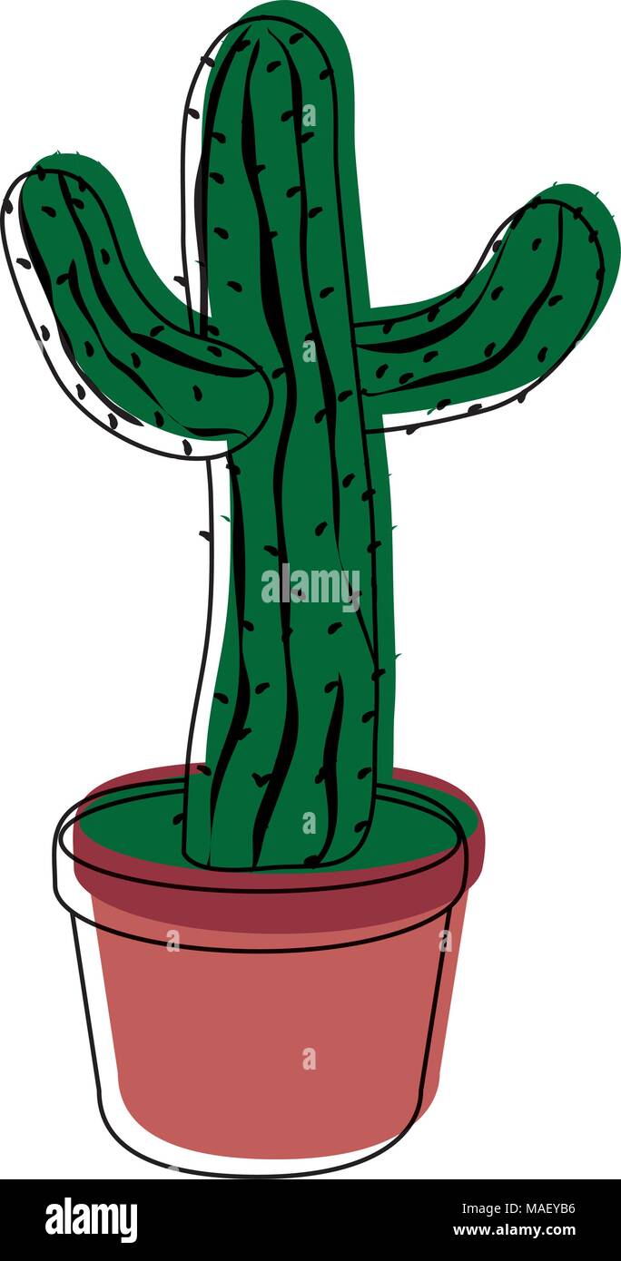 moved color nature cactus desert plant inside flowerpot vector ...