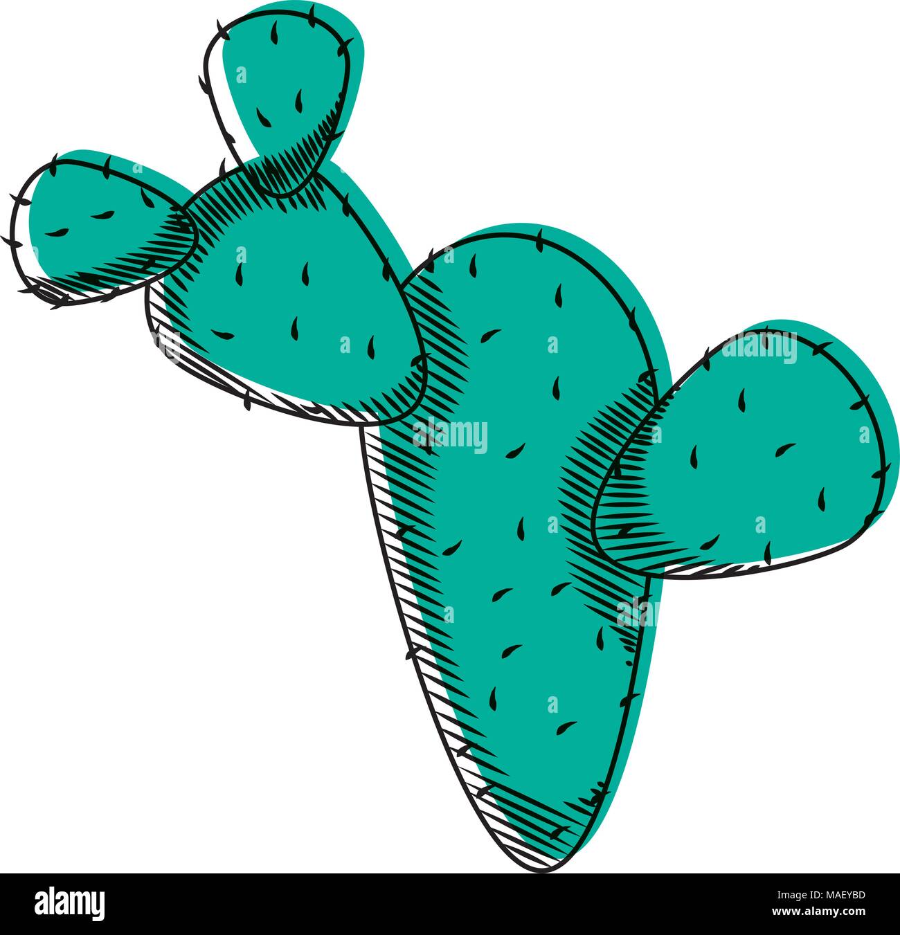 moved color ecology cactus plant nature desert vector illustration ...