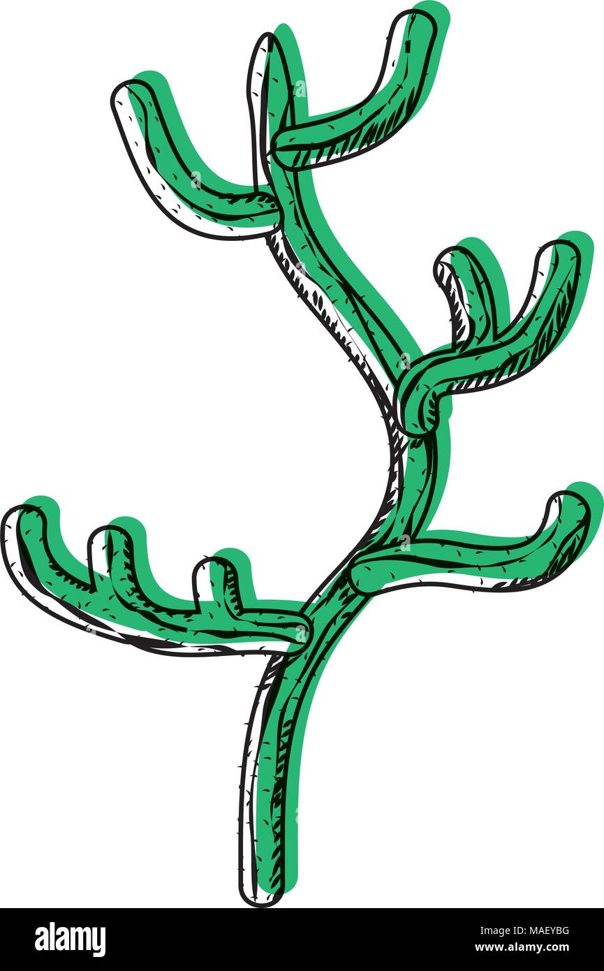 moved color ecology and nature desert cactus plant vector illustration ...
