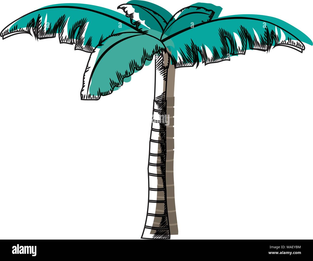 moved color tropical palm tree with natural design vector illustration Stock Vector