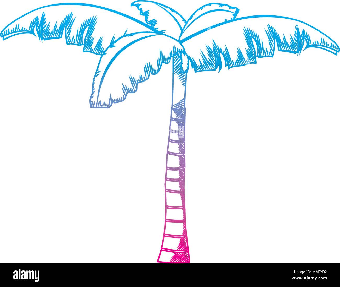degraded line tropical palm tree with natural design vector illustration Stock Vector