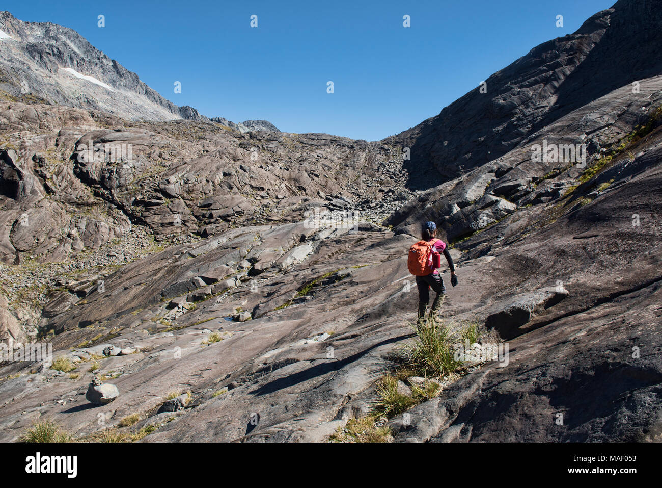 Ascending the Gertrude Saddle Track, Fjordland, New Zealand Stock Photo