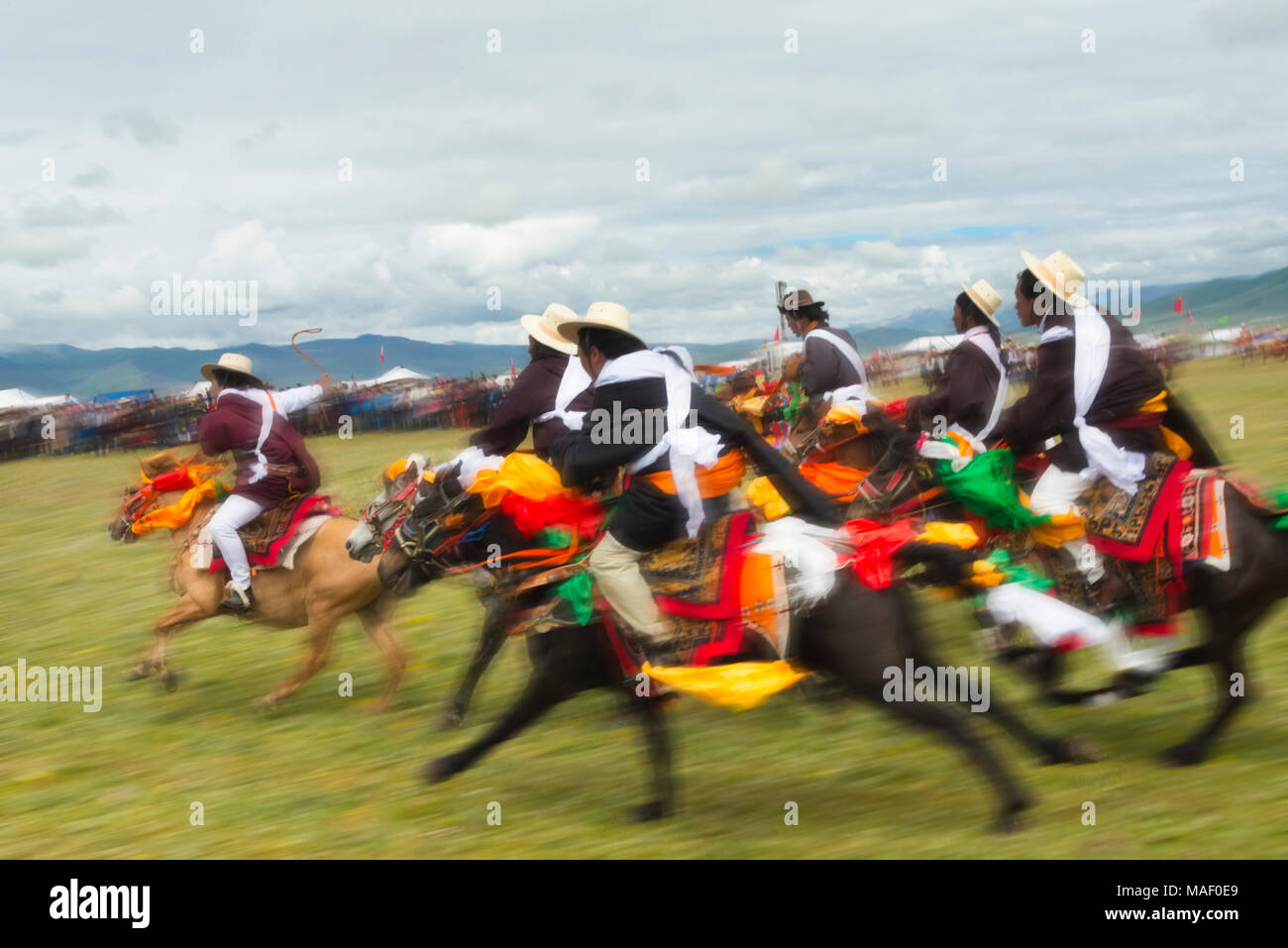 Tibetan people's horse race at Horse Race Festival, Litang, western ...