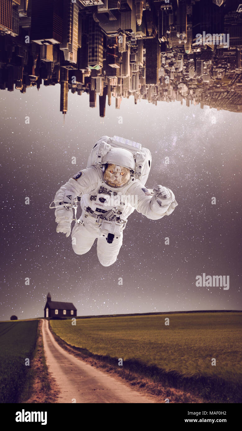 Cat astronaut flying in space between landscape and cityscape. Stock Photo