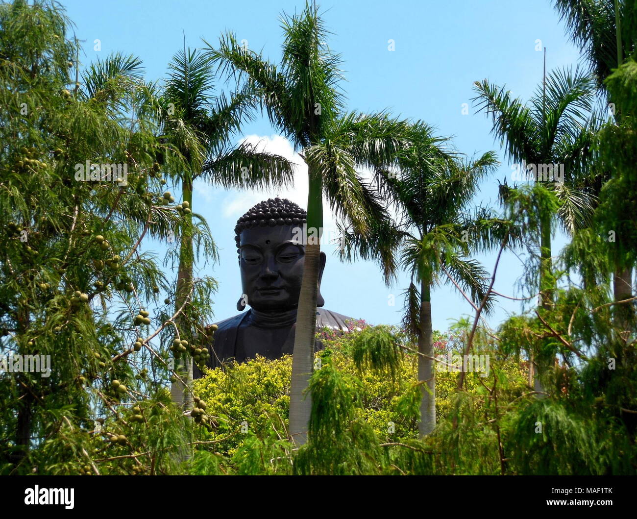 Buddha statue Baguashan in Changhua, Taiwan Stock Photo Alamy