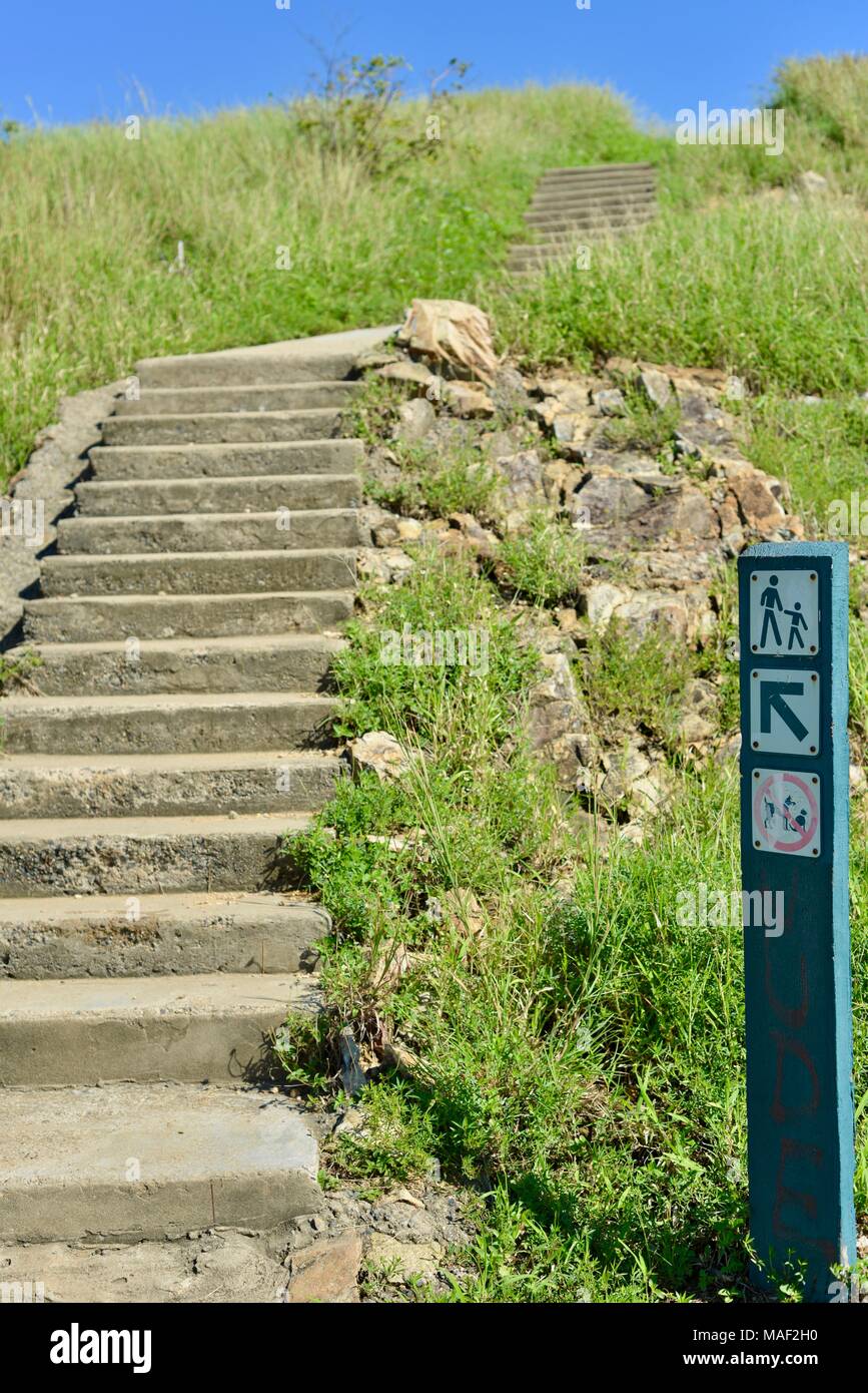 Concrete Stairs Going Up A Grassy Hillside Hi Res Stock Photography And   Concrete Stairs Going Up A Grassy Hillside With A Hiking And Up Sign Shelly Cove Trail At Cape Pallarenda Conservation Park Queensland Australia MAF2H0 