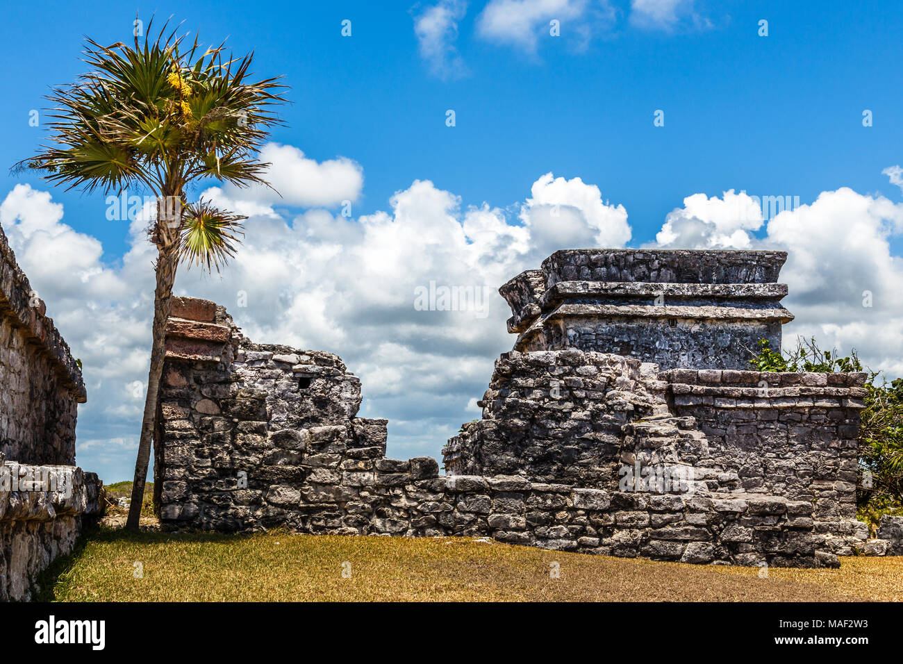 Old ruined ancient Mayan house with palm tree and blue sky, Tulum archaeological site, Yucatan peninsula, Mexico Stock Photo