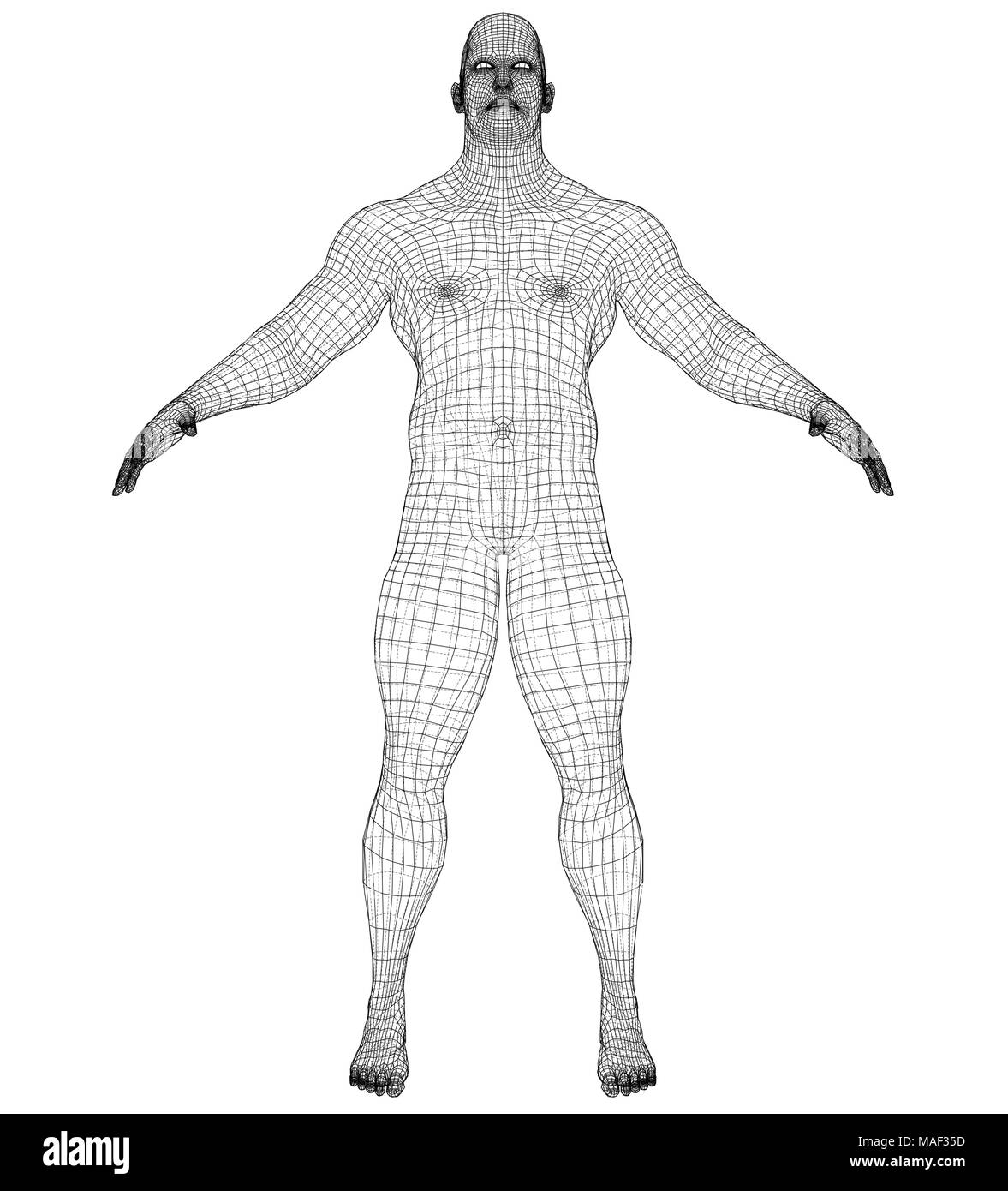 3d wire frame body Stock Vector Images Alamy