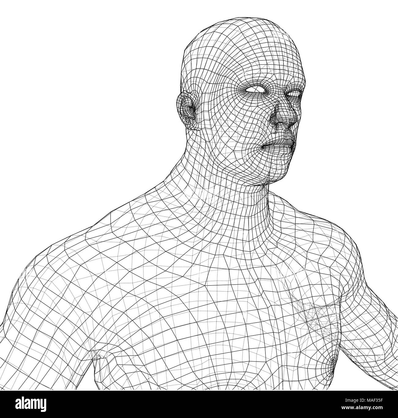 3d wire frame body Stock Vector Images Alamy